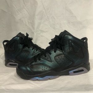 JORDAN 6 CHAMELEON GS
